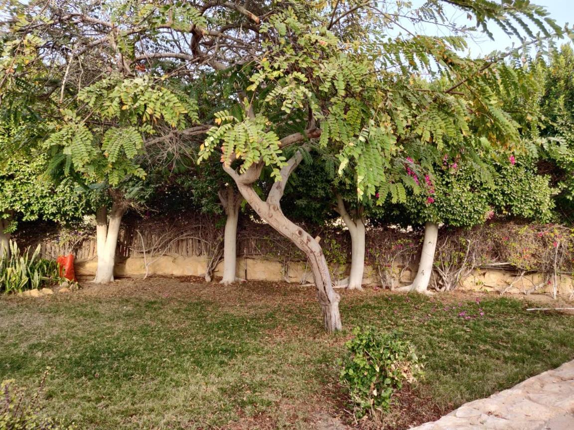 ‘Izbat an Nāmūs Tunis Lake View מראה חיצוני תמונה