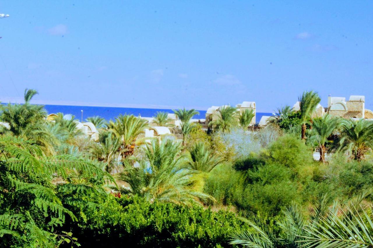 ‘Izbat an Nāmūs Tunis Lake View מראה חיצוני תמונה